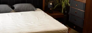 محافظ تشک ضد آب و جلوگیری از بوی نامطبوع تشک